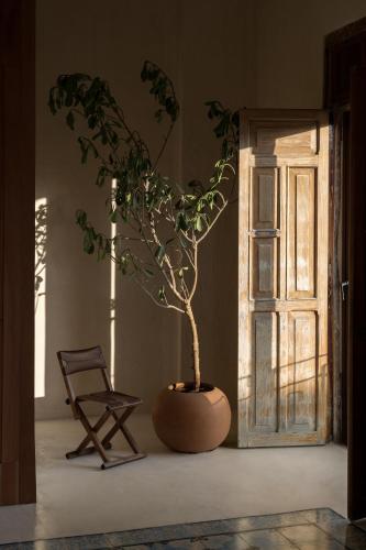 Narrativ Lofts - Numen - Stylish Hideaway in Campeche, Mexico