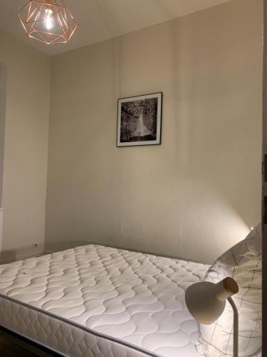 Le petit Burais-Joli appartement Villeurbanne