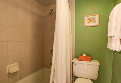 Valley Isle 806 - image 3