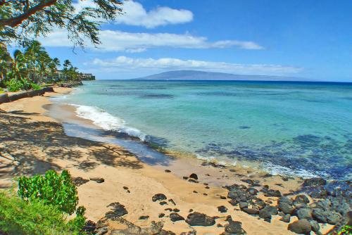 Kuleana #206 - image 3