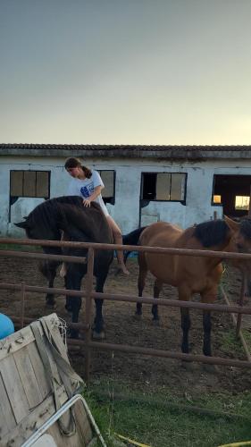  Maddy Appartamento in Porto Viro