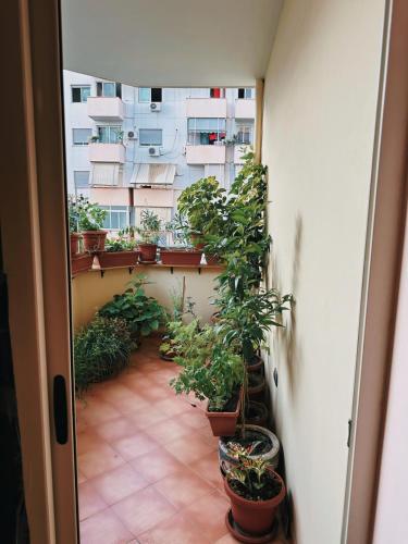 Bed & Breakfast Mina, Tirana (foto 11)