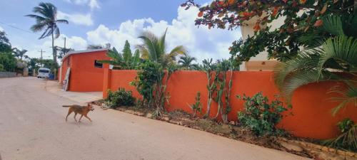El jardin del coco, apartamento 14 - near La Playita beach in Las Galeras