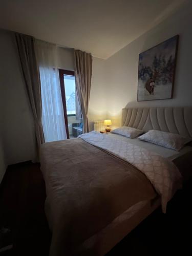 Sweet apartments - main image