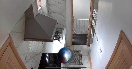 Konyha, Room in new flat in Palfrey