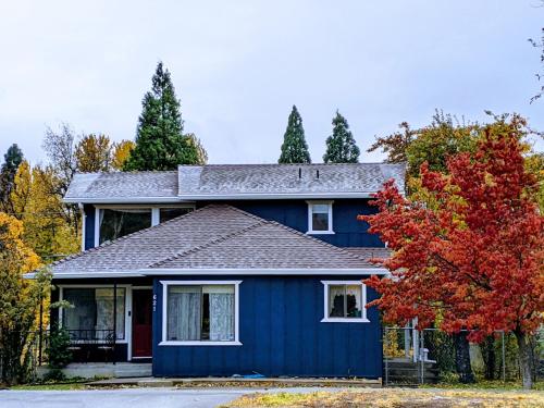 4 Elements House:Central, Views-Every Rm, AC, Pets - Mount Shasta