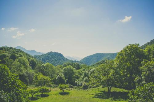 Triple Room with Mountain View