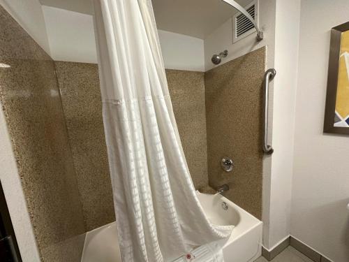 Comfort Suites Jackson - Cape Girardeau - image 6