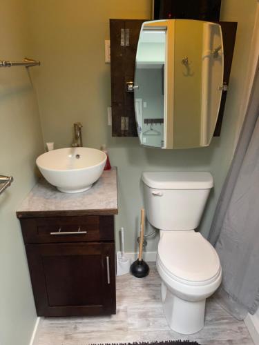 Bright and Cozy 1 Bedroom Suite in Gold River (BC)