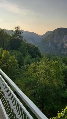 TARA RIVER HOUSE in Pluzine