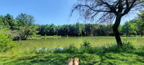 Dārzs, Les étangs du moulin d'Harcy (Les etangs du moulin d'Harcy) in Lonny