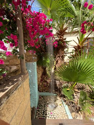 Hostal Lorca - image 4
