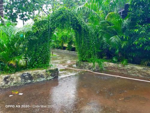 Taman, HOTEL MUMBAI GARDEN RESORT  in Shedung