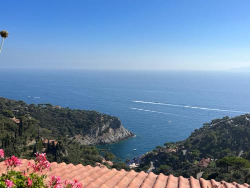 [cala piccola] idyllic place + reserved beach