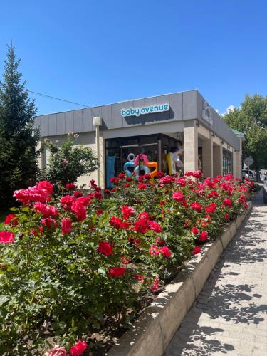 квартира в ЦО Радуга Иссык куль 4, Raduga Issyk Kul, Sary Oy, Chon-Sary-Oy (fotografie 10)