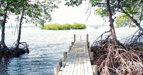 Coco Key EcoLodge - Breakfast - Sea