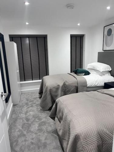 4-Level Luxury 2 Bedroom House Sleeps 6, Rooftop, Harry P & Free Parking - Apartment - Watford
