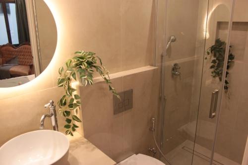 Mini Suite, Chioggia (foto 8)