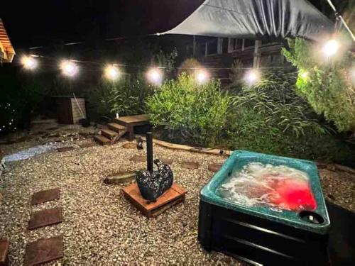 Tiny House, WIFI,Hot tub,Secluded in Cosby, USA