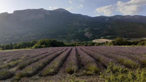 Les Terrasses du Paradis