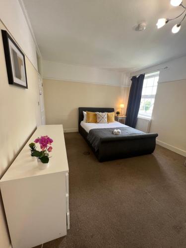 Stunning Wembley Stadium Flat, Londýn