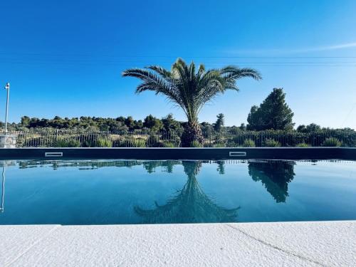 Garden Villa with private pool in Porto Cheli