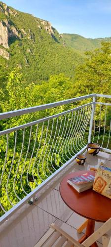 TARA RIVER HOUSE in Pluzine