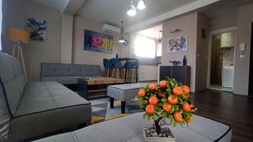 B&B Kumanovo - Luna Apartment - Bed and Breakfast Kumanovo