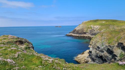 Detached Bungalow in North Cornwall