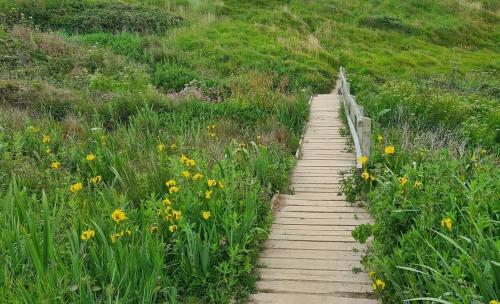 Detached Bungalow in North Cornwall