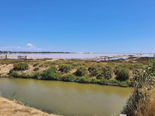 Maison 3 chambres, quartier calme, vue sur les salines ! - Location saisonnière - Arles