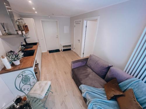 Three By The Sea apartments at Albatross Home, Ķesterciems (fotografie 8)