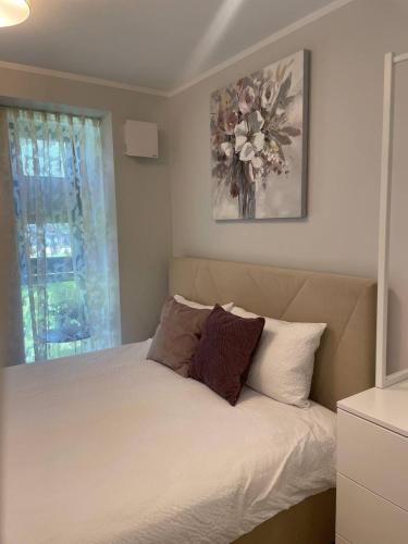 Three By The Sea apartments at Albatross Home, Ķesterciems (fotografie 9)