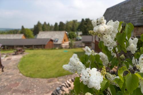 Picture of Redwood Lodge