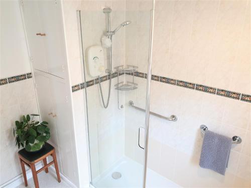Cottage in Frogmore near Salcombe Estuary & Beaches, Kingsbridge (fotografie 8)