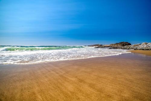 Carpe Beachim - image 6