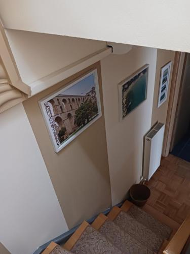 Green House - image 7
