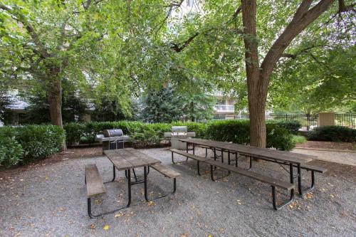 Awesome 1 BR Apt + Den At Crystal City With Gym in Arlington, USA