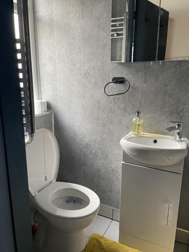 Luxury studio apartment near Birmingham citycentre, Birmingham (photo 6)