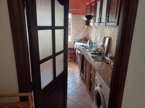 Palmier sidi Bouzid in Sidi Bouzid