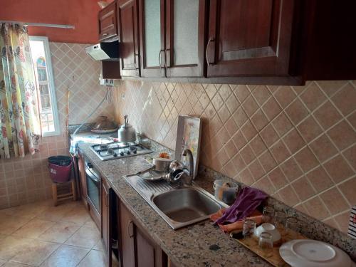 Palmier sidi Bouzid in Sidi Bouzid