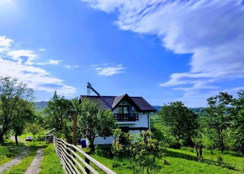 Deleni Retreat - Casa Sitaru in Berca