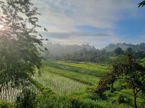 Nongtao homestay เชียงใหม่