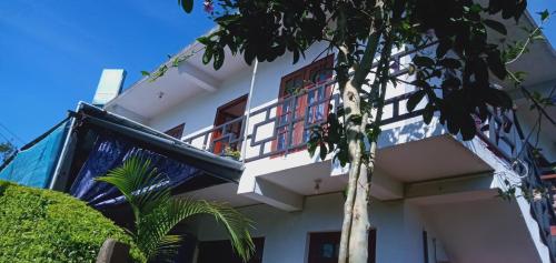 The Train View in Nuwara Eliya