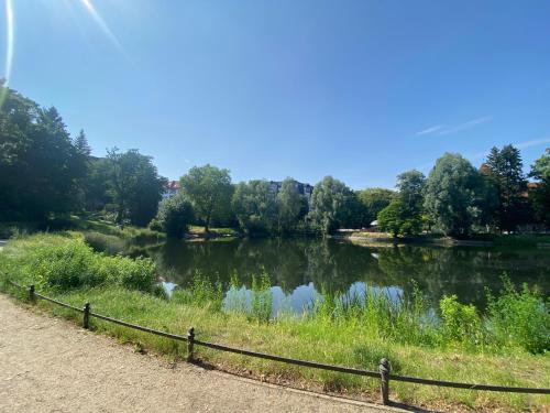 Lake Side Park/Historic/BER/THF, Berlino (foto 7)