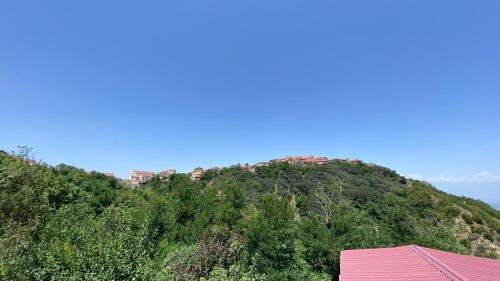 丽雅斯旅馆 丽雅斯旅馆