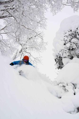 Morino Lodge - Myoko