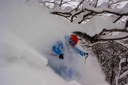 Morino Lodge - Myoko