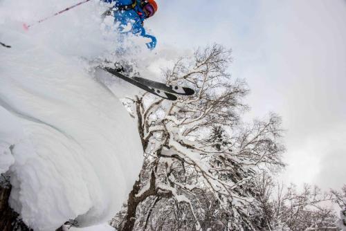 Morino Lodge - Myoko