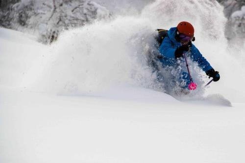 Morino Lodge - Myoko